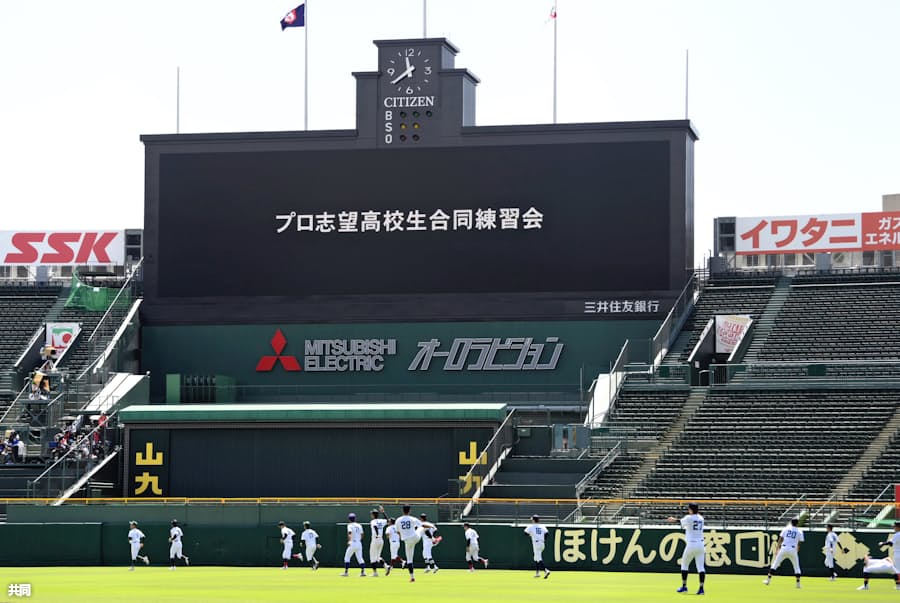 プロ野球志望の高3が練習会 甲子園球場でアピール機会 日本経済新聞