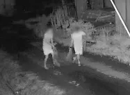 栃木県足利市の牧場で子牛が連れ去られている様子を撮影した防犯カメラの映像(22日夜、画像の一部を加工しています)=共同 栃木県足利市の牧場で子牛が連れ去られている様子を撮影した防犯カメラの映像(22日夜、画像の一部を加工しています)=共同