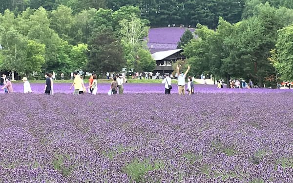 北海道博報堂 のニュース一覧 日本経済新聞 北海道博報堂 のニュース一覧 日本経済新聞