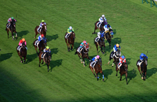 中央競馬 無観客も業績好調 ネット投票けん引 日本経済新聞