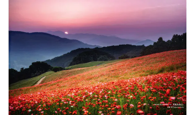 息をのむほど美しい 日本の絶景収めた写真集10選 Nikkei Style 息をのむほど美しい 日本の絶景収めた写真集10選 Nikkei Style