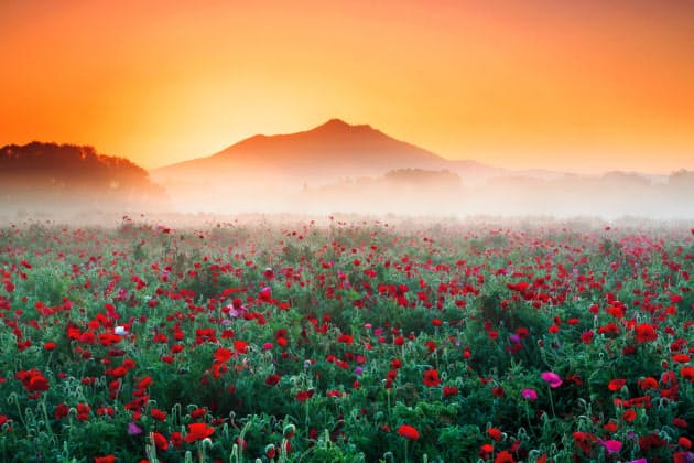 息をのむほど美しい 日本の絶景収めた写真集10選 Nikkei Style 息をのむほど美しい 日本の絶景収めた写真集10選 Nikkei Style