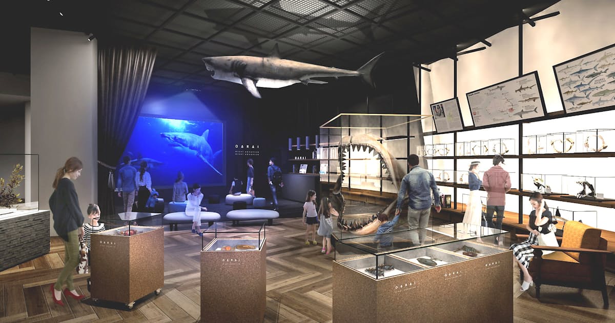 Vr水槽で大型サメ展示 茨城県大洗水族館が大刷新 日本経済新聞 Vr水槽で大型サメ展示 茨城県大洗水族館が大刷新 日本経済新聞