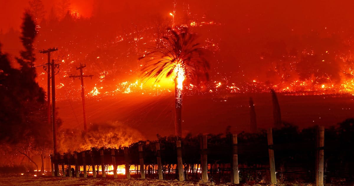 火事 の 原因 山 山火事は熱波や温暖化が原因で増えているか？ 山火事と森林の関係。