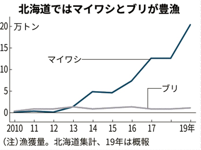 新エースはイワシとブリ 北海道漁業の新定番へ 日本経済新聞 新エースはイワシとブリ 北海道漁業の新定番へ 日本経済新聞