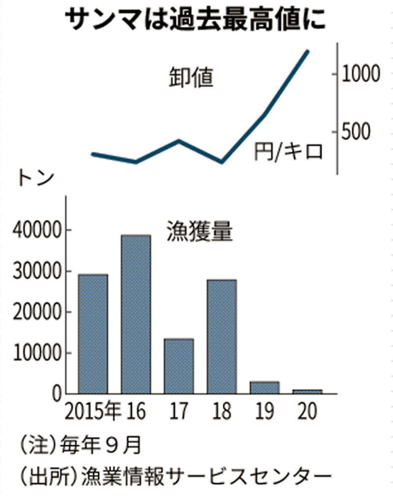 サンマ 9月の漁獲量96 減 5年平均比 価格は最高値 日本経済新聞