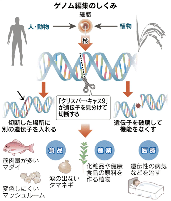 日本経済新聞