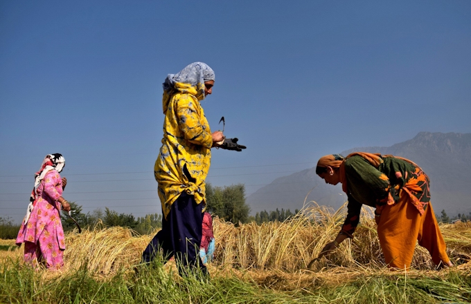 インド経済 9 5 マイナス成長 年度 中銀予測 日本経済新聞
