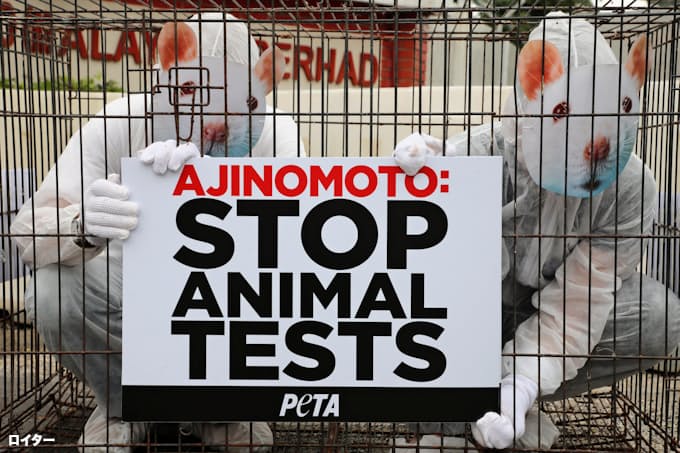 米動物愛護団体 味の素に株主提案を計画 動物実験中止求め 日本経済新聞