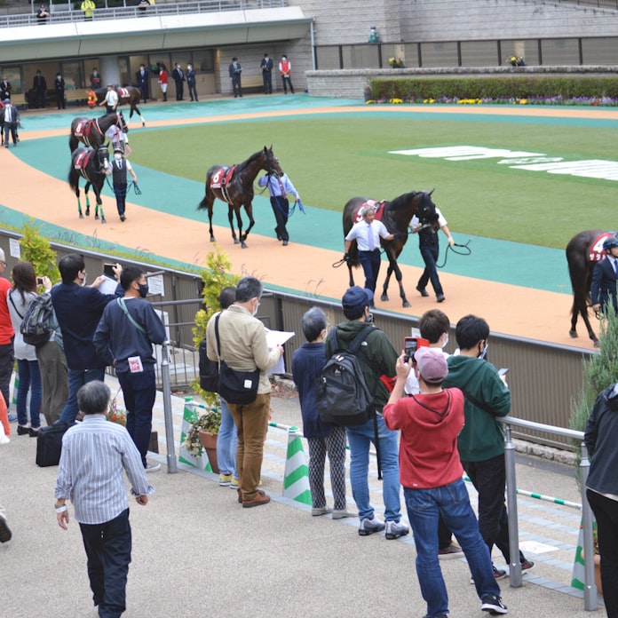 進む競馬ファンの 現場 離れ 入場再開で明らかに 日本経済新聞 進む競馬ファンの 現場 離れ 入場再開で明らかに 日本経済新聞