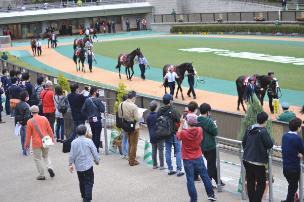 進む競馬ファンの 現場 離れ 入場再開で明らかに 日本経済新聞