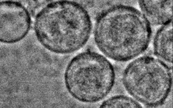 星野歩子 のニュース一覧 日本経済新聞 星野歩子 のニュース一覧 日本経済新聞