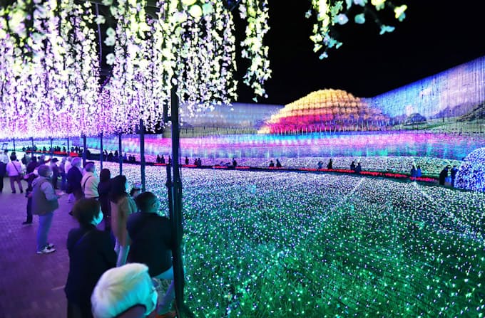 なばなの里イルミネーション 24日から 奇跡の大樹テーマに 日本経済新聞