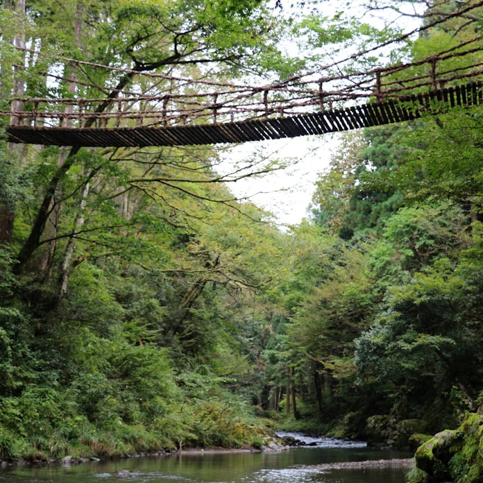 かずら 橋 福井 橋 福井 かずら