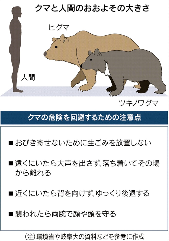 クマ出没多発 エサ凶作原因か 半年で1万3000件超 日本経済新聞 クマ出没多発 エサ凶作原因か 半年で1万3000件超 日本経済新聞