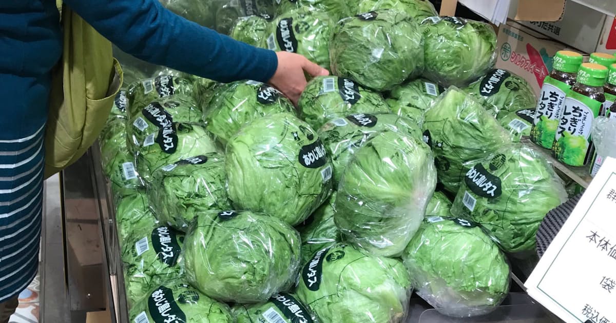 レタスなど6品目安く 平年比 農水省野菜小売価格調査 日本経済新聞 レタスなど6品目安く 平年比 農水省野菜小売価格調査 日本経済新聞