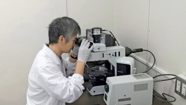 近畿大学は雨粒の核になり得るウイルスを見つけた=近大提供