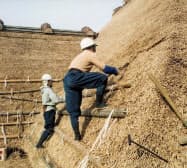 17分野の技術の一つである「茅葺」=共同 17分野の技術の一つである「茅葺」=共同