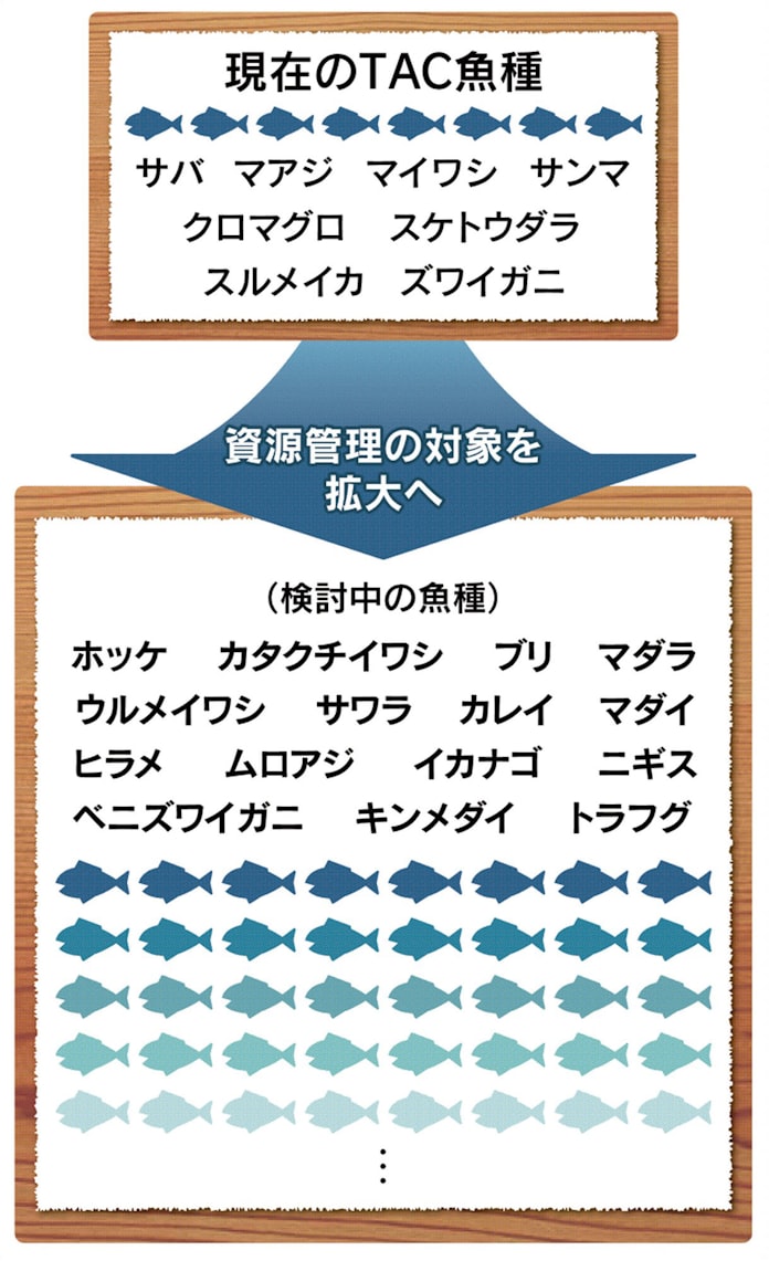 食卓が変わる 70年ぶり 新たな漁業法が施行へ 日本経済新聞 食卓が変わる 70年ぶり 新たな漁業法が施行へ 日本経済新聞