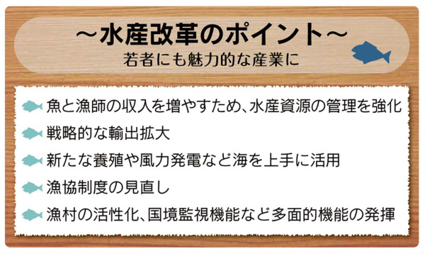 食卓が変わる 70年ぶり 新たな漁業法が施行へ 日本経済新聞