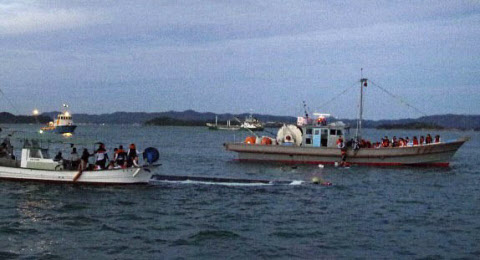 香川沖で小型船浸水 沈没 小学生ら乗船62人全員救助 日本経済新聞