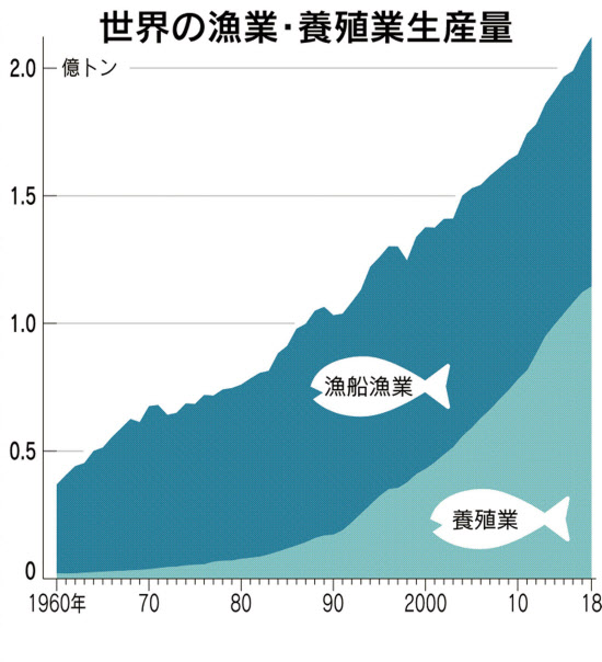 食卓が変わる 70年ぶり 新たな漁業法が施行へ 日本経済新聞