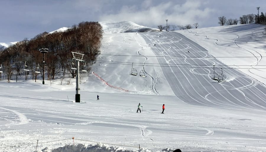 新型コロナ 北海道 ニセコなど4町村 スキー場に補助金 日本経済新聞