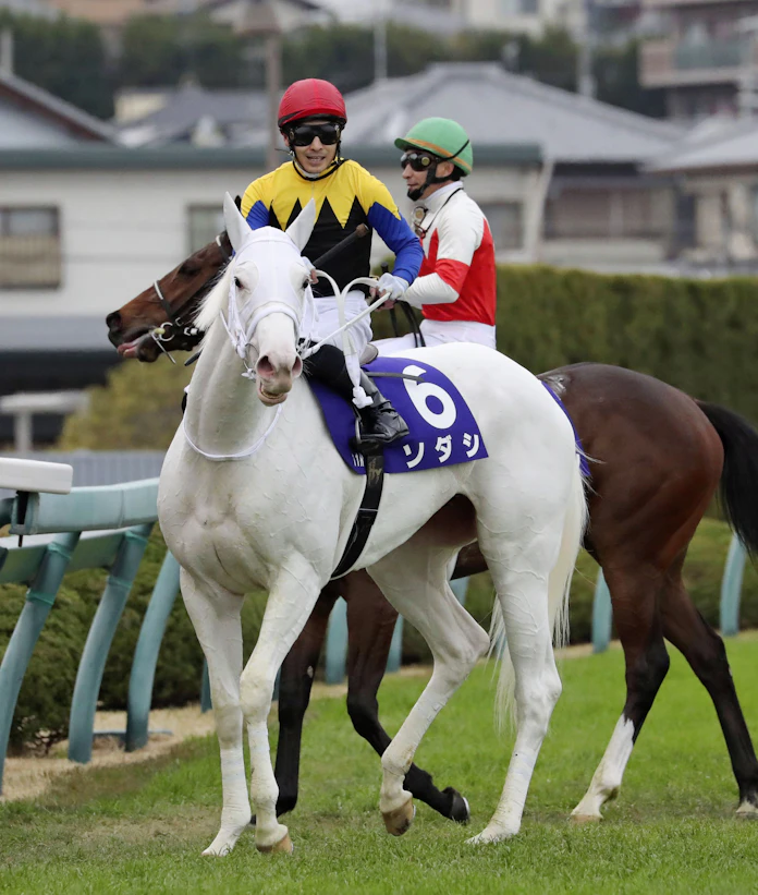 ソダシ 白毛馬初のg1優勝 競馬ジュベナイルf 日本経済新聞