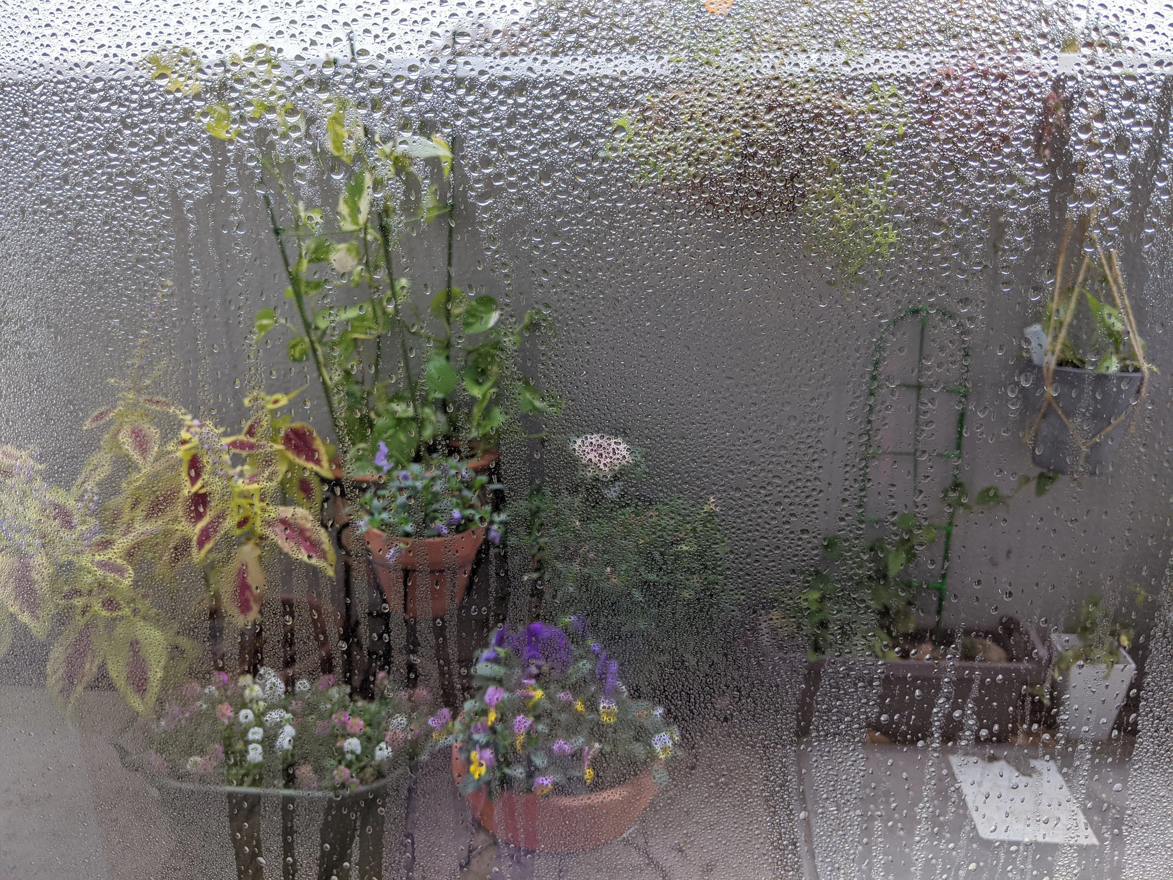 冬の悩みの種 結露 小さな対策積み重ねて Nikkei Style 冬の悩みの種 結露 小さな対策積み重ねて Nikkei Style