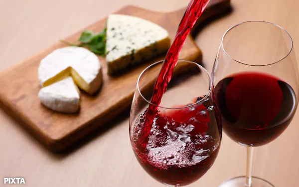 Nikkeiプラス1 何でもランキング のニュース一覧 日本経済新聞