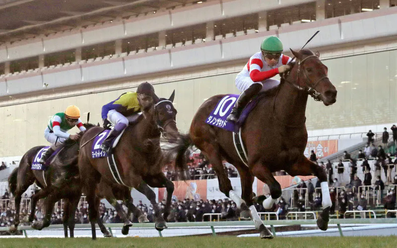 ダノンザキッド 3連勝でg1初制覇 競馬のホープフルs 日本経済新聞