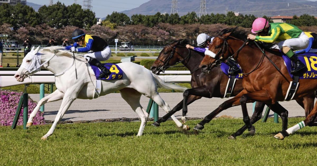 ソダシ レコードで優勝 競馬の桜花賞 日本経済新聞 ソダシ レコードで優勝 競馬の桜花賞 日本経済新聞