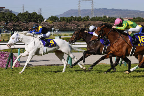 ソダシ レコードで優勝 競馬の桜花賞 日本経済新聞