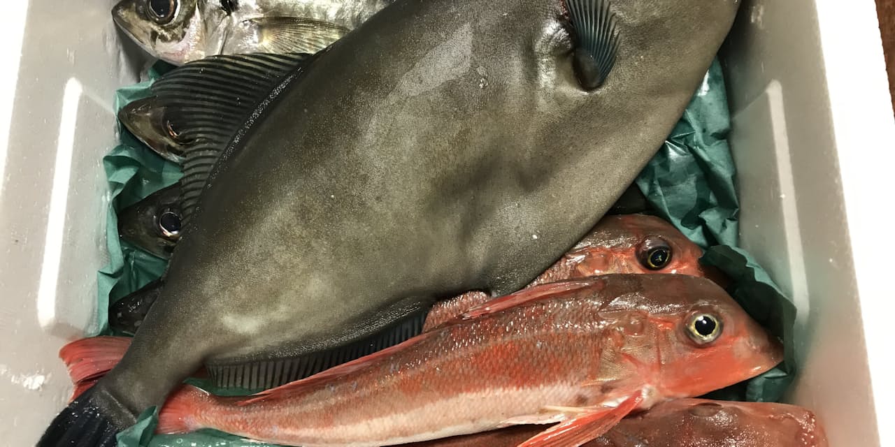 未利用魚を調理してみた 捨てるのもったいないうまさ Nikkei Style 未利用魚を調理してみた 捨てるのもったいないうまさ Nikkei Style