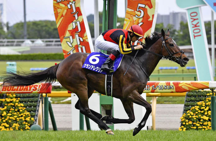 グランアレグリア G1で5勝目 競馬のヴィクトリアm 日本経済新聞