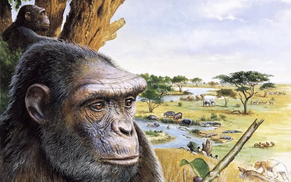 Ffthrrot5lxlwm Ffthrrot5lxlwm