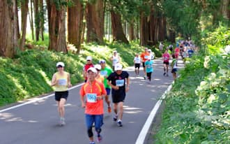 日光杉並木マラソンは後半にずっと上りが続く。残り3キロあたりの上りがとりわけきつかった