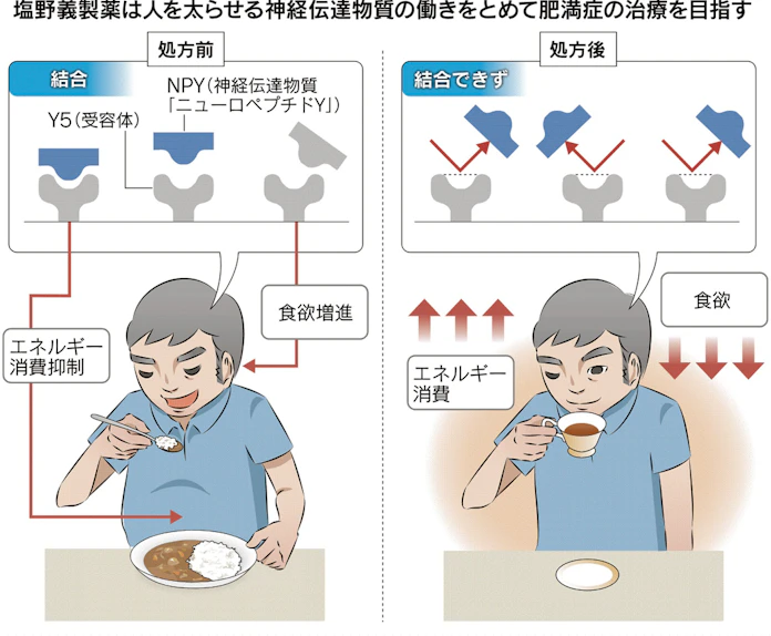 肥満症患者は00万人 国民薬 の開発急ぐ 日本経済新聞 肥満症患者は00万人 国民薬 の開発急ぐ 日本経済新聞