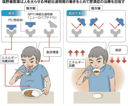 肥満症患者は00万人 国民薬 の開発急ぐ 日本経済新聞