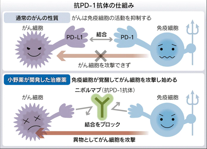 15年間諦めなかった小野薬品 がん消滅 新免疫薬 日本経済新聞