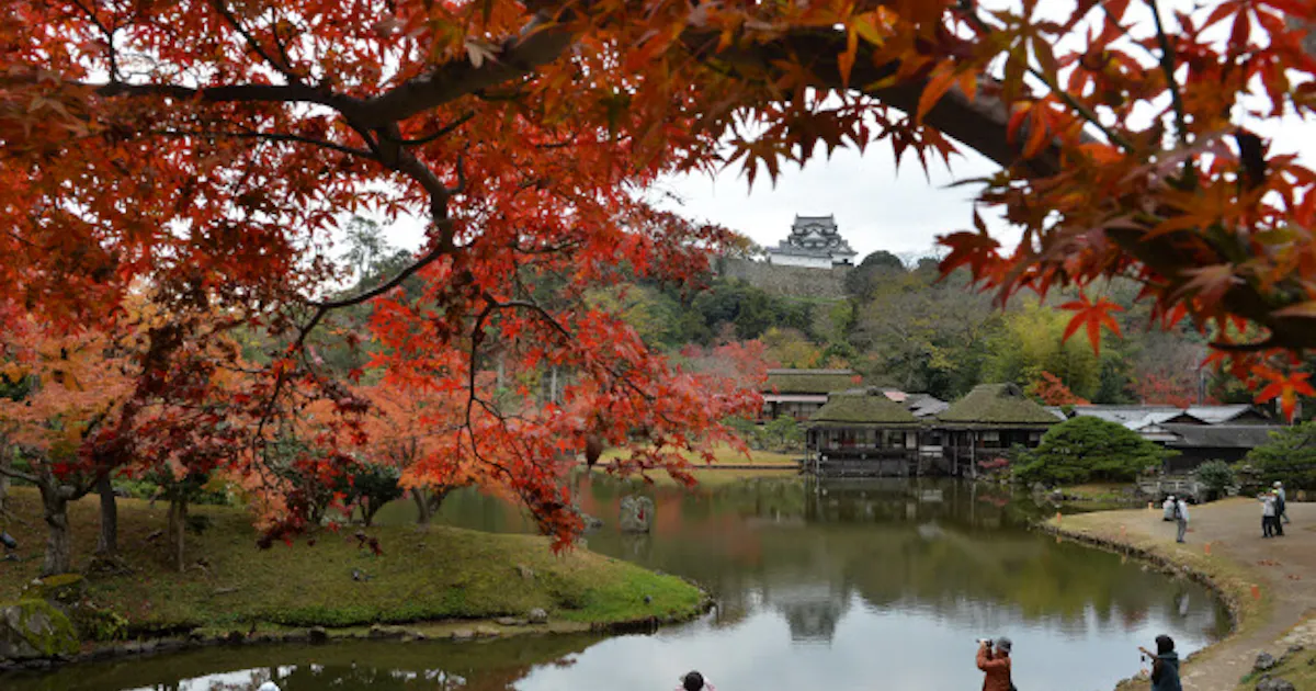 絵図が語る井伊家の日常 彦根城の玄宮園 時の回廊 日本経済新聞 絵図が語る井伊家の日常 彦根城の玄宮園 時の回廊 日本経済新聞