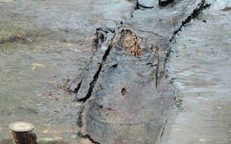 雷下遺跡で見つかった最古の丸木舟（公益財団法人千葉県教育振興財団提供）