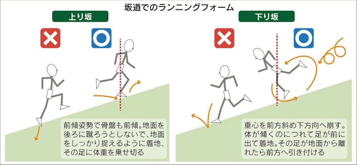ダイナミックな走り 坂道トレーニングで養成 日本経済新聞 ダイナミックな走り 坂道トレーニングで養成 日本経済新聞