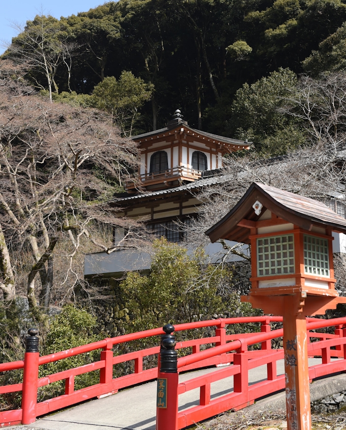 宝くじ ルーツは大阪の寺 謎解きクルーズ 日本経済新聞