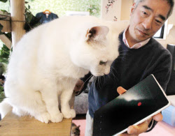 ペットも自撮り 珠玉の表情 アプリで 日本経済新聞 ペットも自撮り 珠玉の表情 アプリで 日本経済新聞