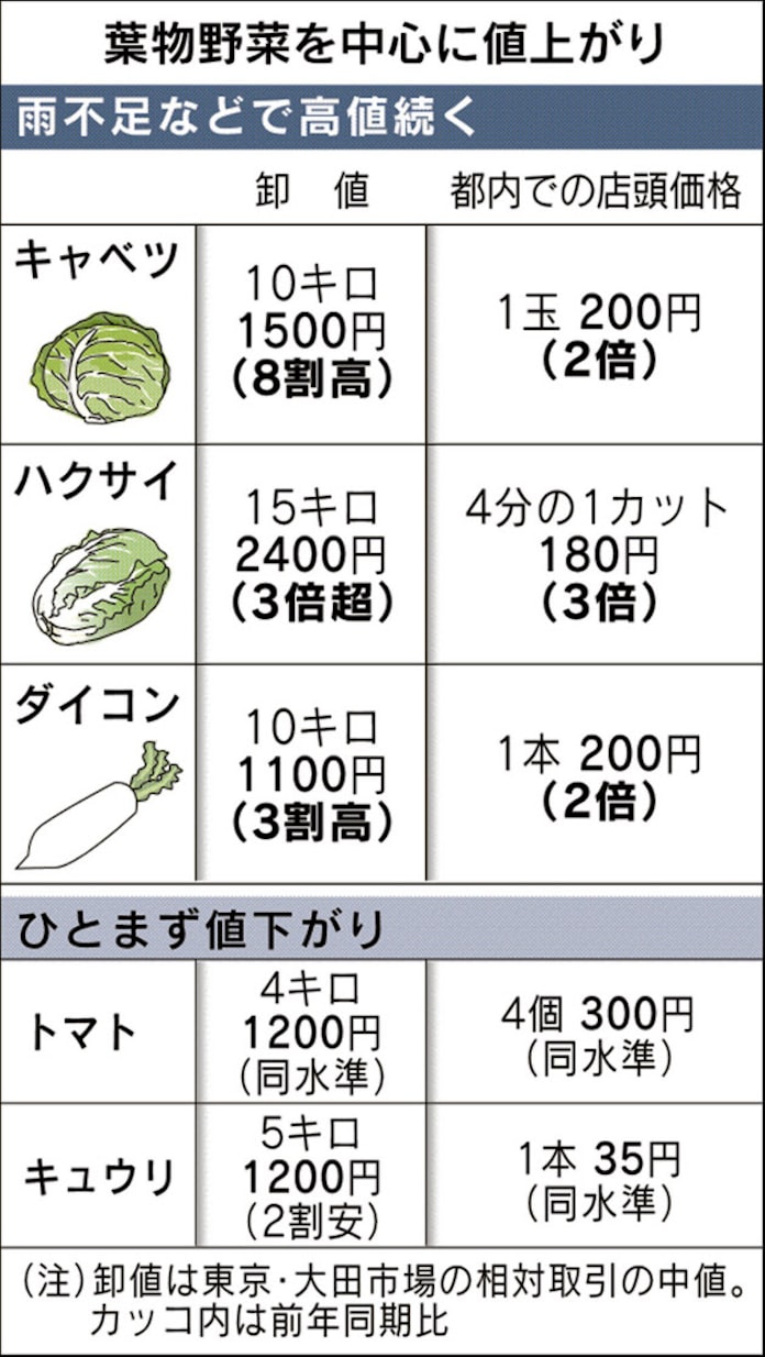 雨不足で野菜高騰 卸値キャベツ8割高 ハクサイ3倍 日本経済新聞 雨不足で野菜高騰 卸値キャベツ8割高 ハクサイ3倍 日本経済新聞