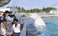 イルカに水を浴びせられる横浜・八景島シーパラダイスのイベント