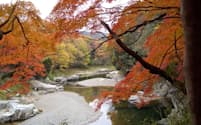 京都・嵐山の景観に似た埼玉県嵐山町の渓谷