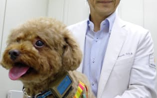 成城こばやし動物病院（東京・世田谷）の小林元郎院長。歩数計「わんダント」を付けたトイプードルを診察する