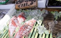「地魚でお食事できます！」の木札の前に並ぶミノカサゴ(左)と舌ビラメ（神奈川県三浦市の「まるいち魚店」）